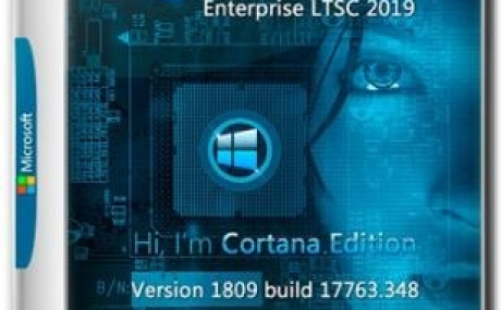Windows 10 Enterprise LTSC 2019 Cortana Edition 1809 17763.348