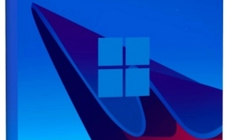 Windows 11 Pro 24H2 Build 26100.4351 Optima