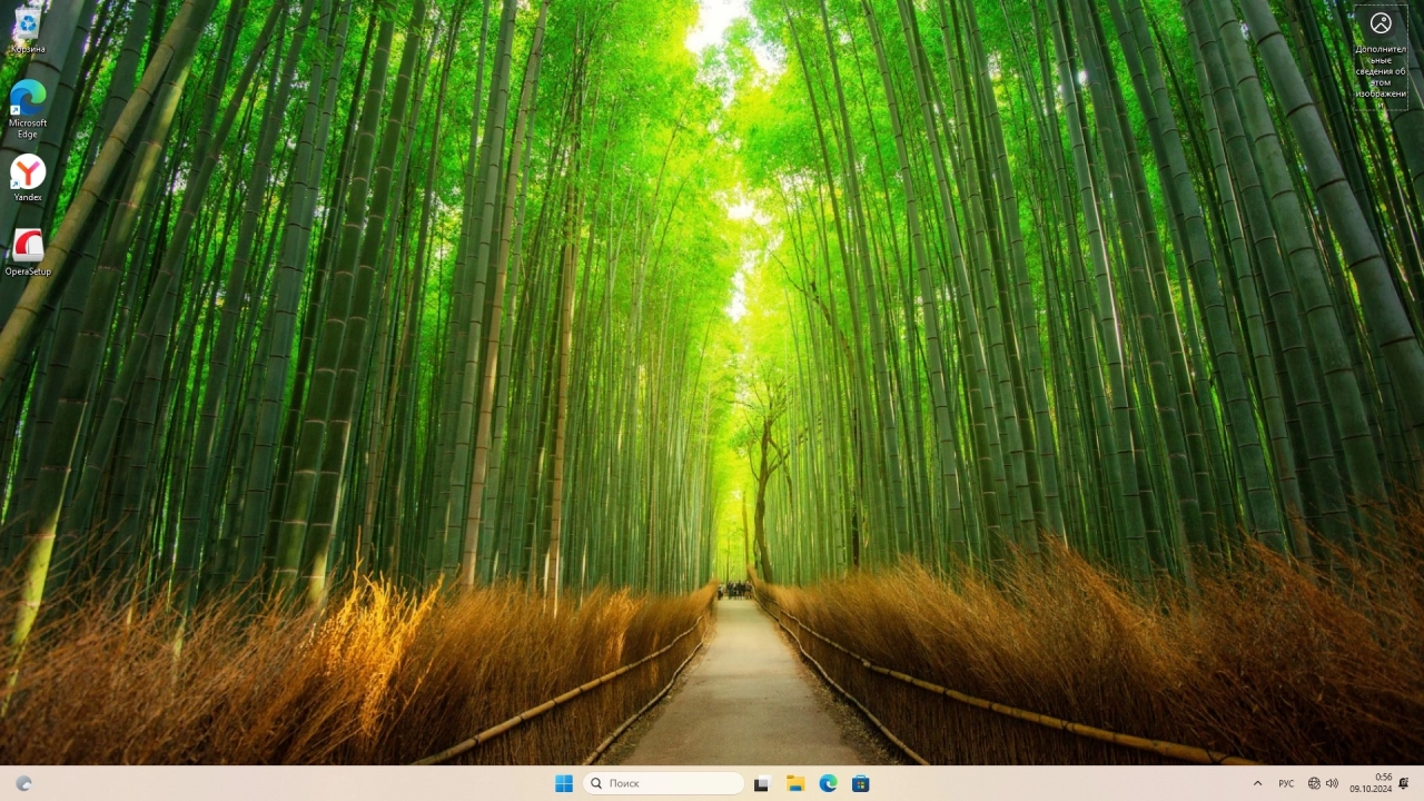 Screenshot #1 - Windows 11 Pro 24H2 Build 26100.2033 Full Октябрь 2024