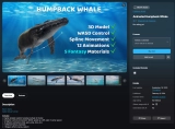 Animated Humpback Whale (UE5.3+)