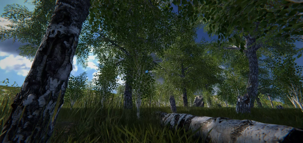 Screenshot #4 - Scanned Birch Wood