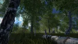 Screenshot #4 - Scanned Birch Wood
