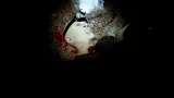 Screenshot #9 - Blood Trail
