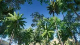 Screenshot #1 - Tropical South-East Asia Rainforest / Jungle Pack
