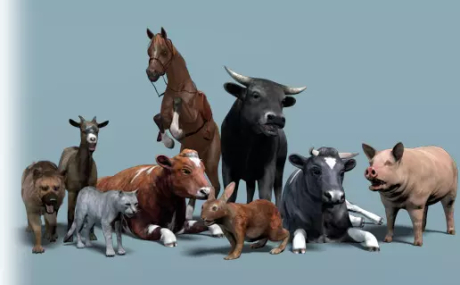 Domestic Animal Pack 1