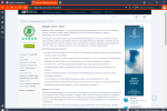 Screenshot #2 - Браузер Vivaldi 6.8