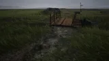Screenshot #7 - Brushify – Natural Roads Pack for (Unreal Engine 5.5)