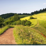 Screenshot #4 - Windows 10 Enterprise x64 + OpenVpn by WebUser v1