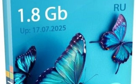 Lite Windows 11 Pro 25H2 Build 26200.5670 by Revision