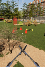 Screenshot #7 - Arena Renovation