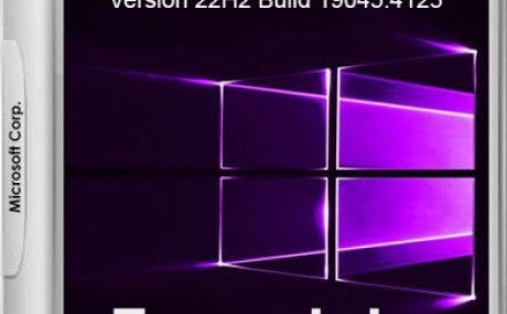 Windows 10 Русская Lite 22H2 Build 19045.4123 by Den