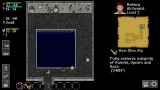 Screenshot #2 - Ananias Roguelike