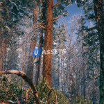 Screenshot #1 - Winter Forest Environment