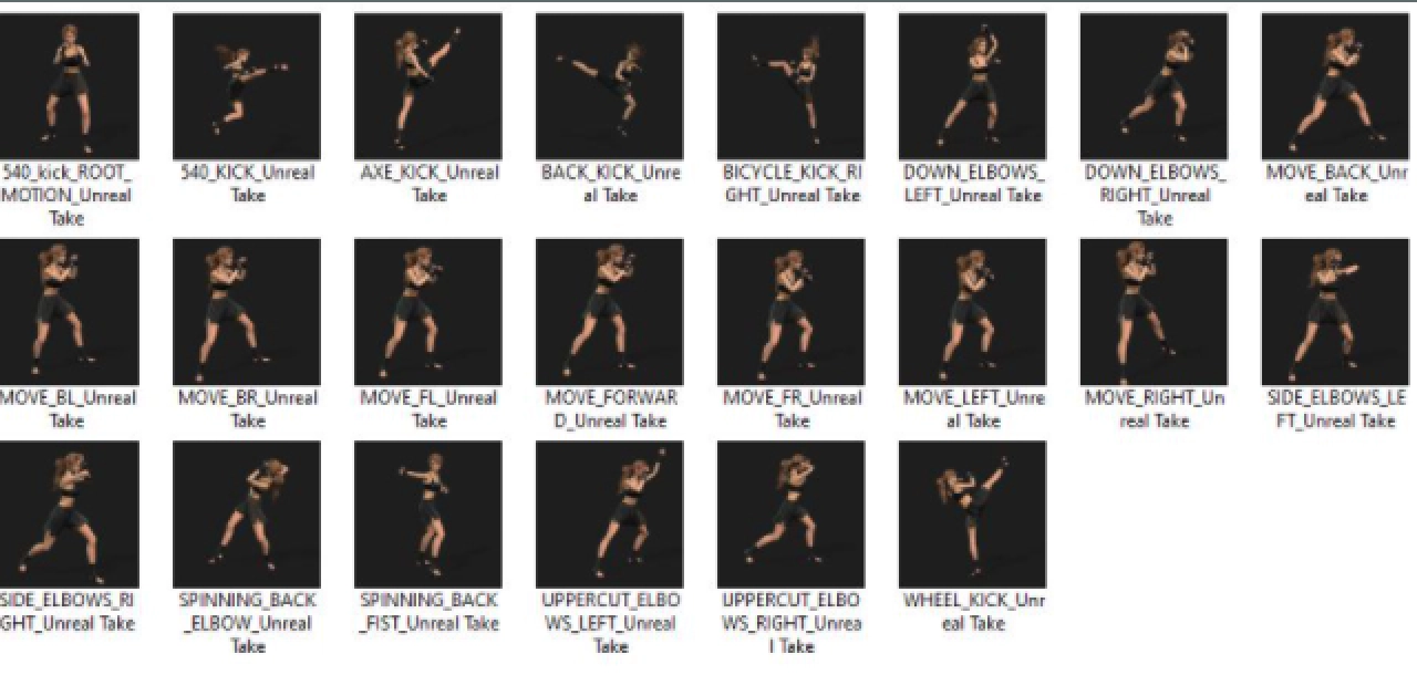 Screenshot #3 - MEGA bundle of +150 motion packs for iClone (8 GB)