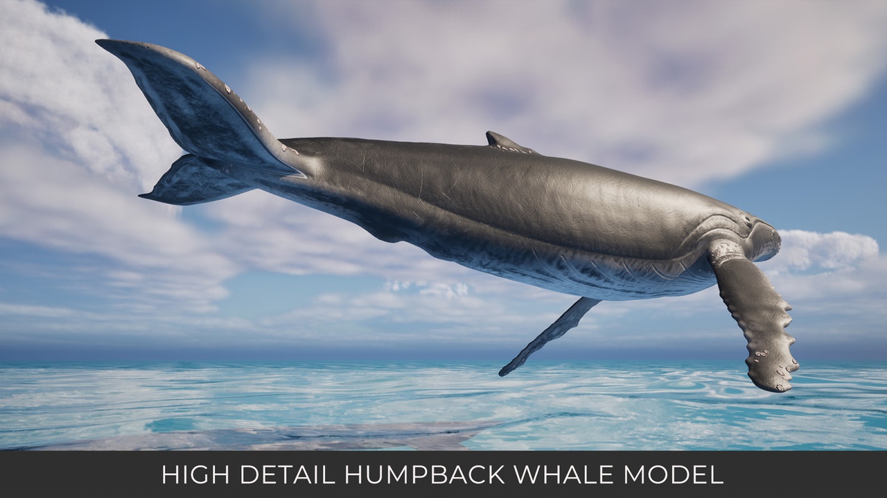 Screenshot #8 - Animated Humpback Whale (UE5.3+)