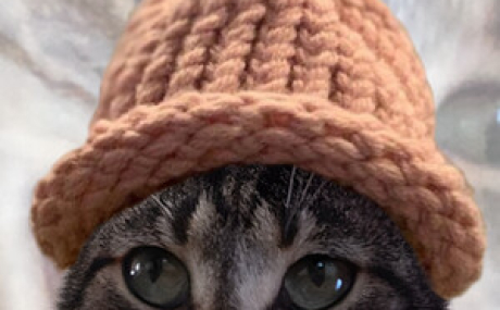 Catwifhat