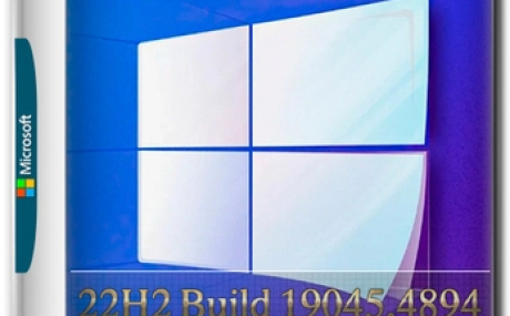 Windows 10 Pro 22H2 Build 19045.4894 Full Сентябрь 2024