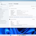 Screenshot #4 - Windows 11 Pro 23H2 Build 22631.4317 Full Октябрь 2024