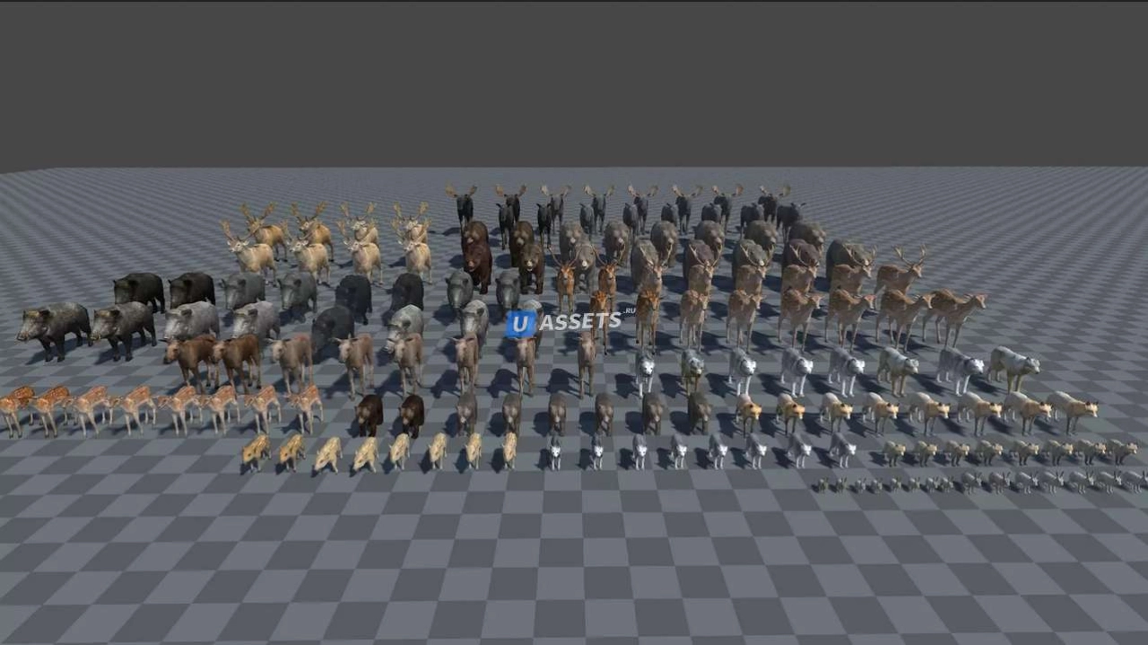 Screenshot #4 - Forest animals 1.0