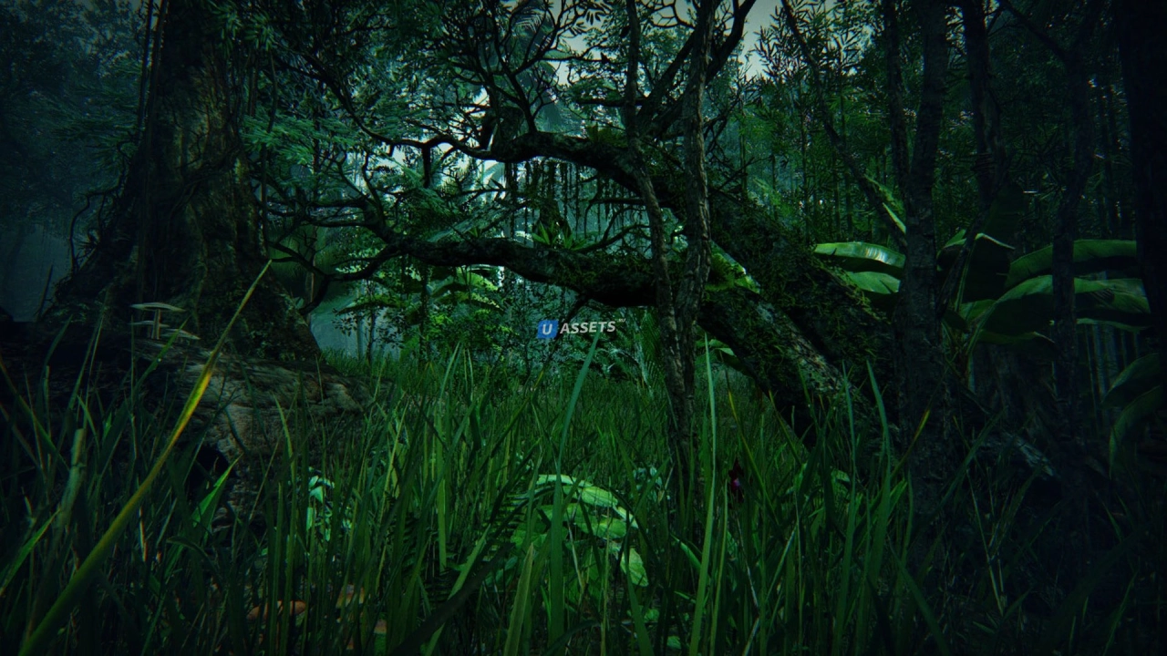 Screenshot #3 - Tropical Forest