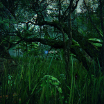 Screenshot #3 - Tropical Forest