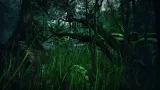 Screenshot #3 - Tropical Forest