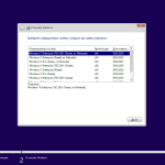 Screenshot #1 - Windows 10 Русская 22H2 [19045.5608] 3in1 x64 WPI by AG 03.2025