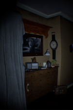 Screenshot #2 - The Forgotten Apartment