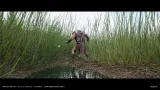 Screenshot #3 - Nanite Tall Grass Vol.1 UE5