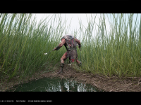 Screenshot #3 - Nanite Tall Grass Vol.1 UE5