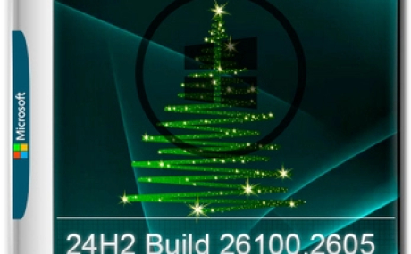 Windows 11 Pro 24H2 Build 26100.2605 Optima
