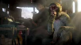 Screenshot #3 - Far Cry 4