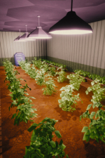 Screenshot #6 - Mr. Nomad