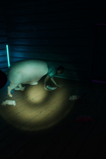 Screenshot #2 - Daily Note