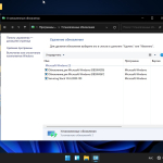 Screenshot #3 - Windows 11 Pro For Workstations micro 21H2 build 22000.100 by Zosma (x64)