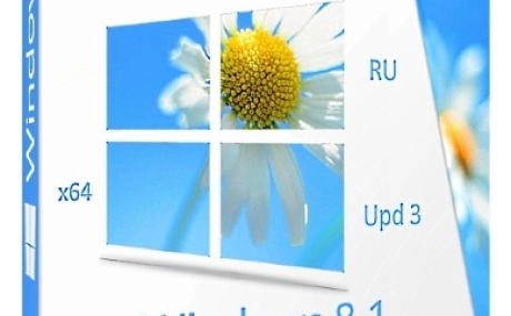 Windows 8.1 Professional VL with Update 3 x64 Ru by OVGorskiy 07.2024