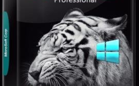 Windows 10 Professional 15063.332 v.1703 IZUAL v.30 (x64)