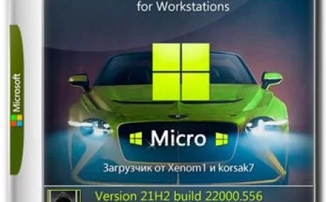 Windows 11 Pro For WS x64 Micro 21H2 build 22000.556
