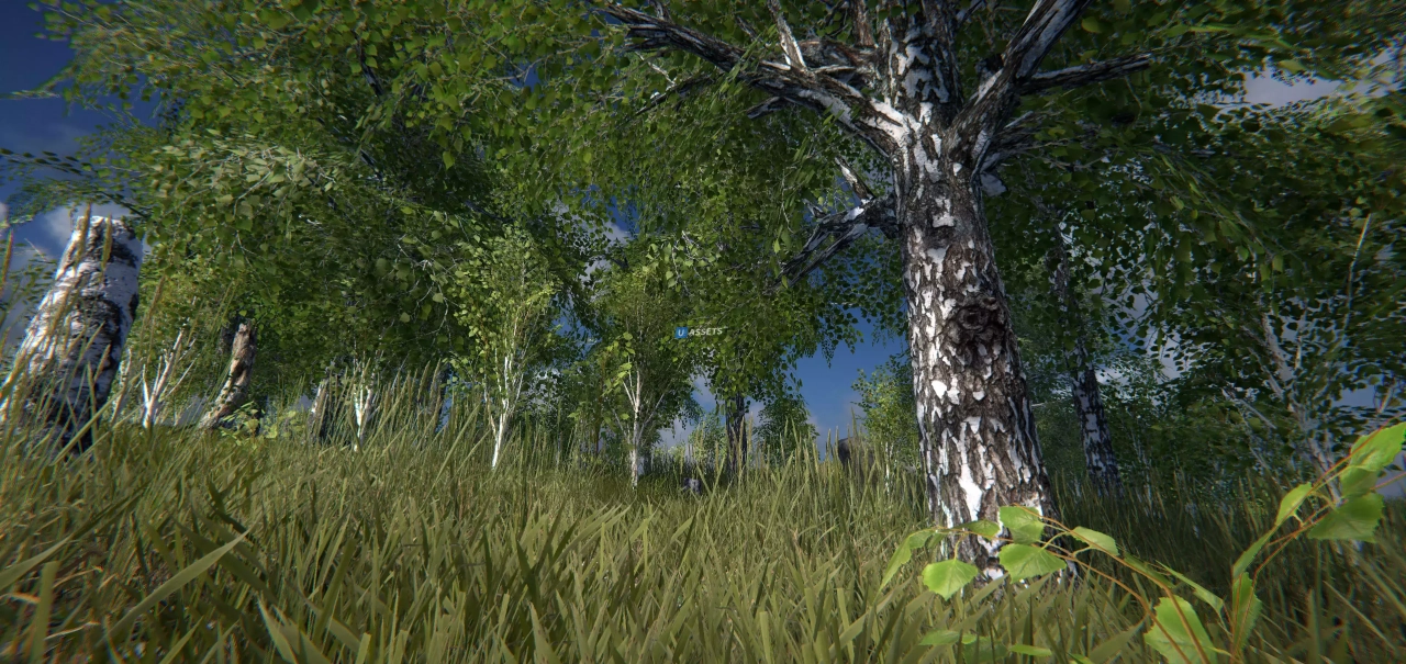 Screenshot #2 - Scanned Birch Wood
