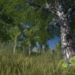Screenshot #2 - Scanned Birch Wood