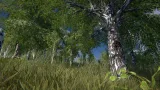 Screenshot #2 - Scanned Birch Wood