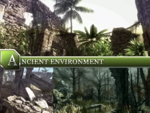 Ancient Environment