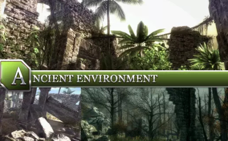 Ancient Environment