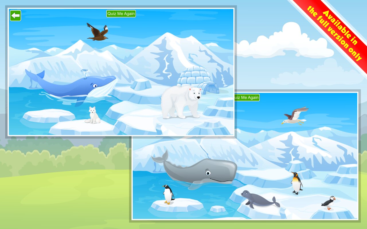 Screenshot #24 - KIDS LEARN ABOUT ANIMALS 2.4.2