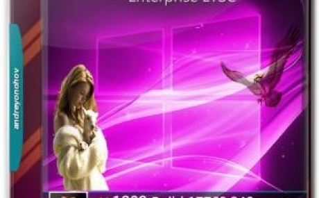 Windows 10 Enterprise LTSC 2019 17763.348 Version 1809 [2in1] DVD