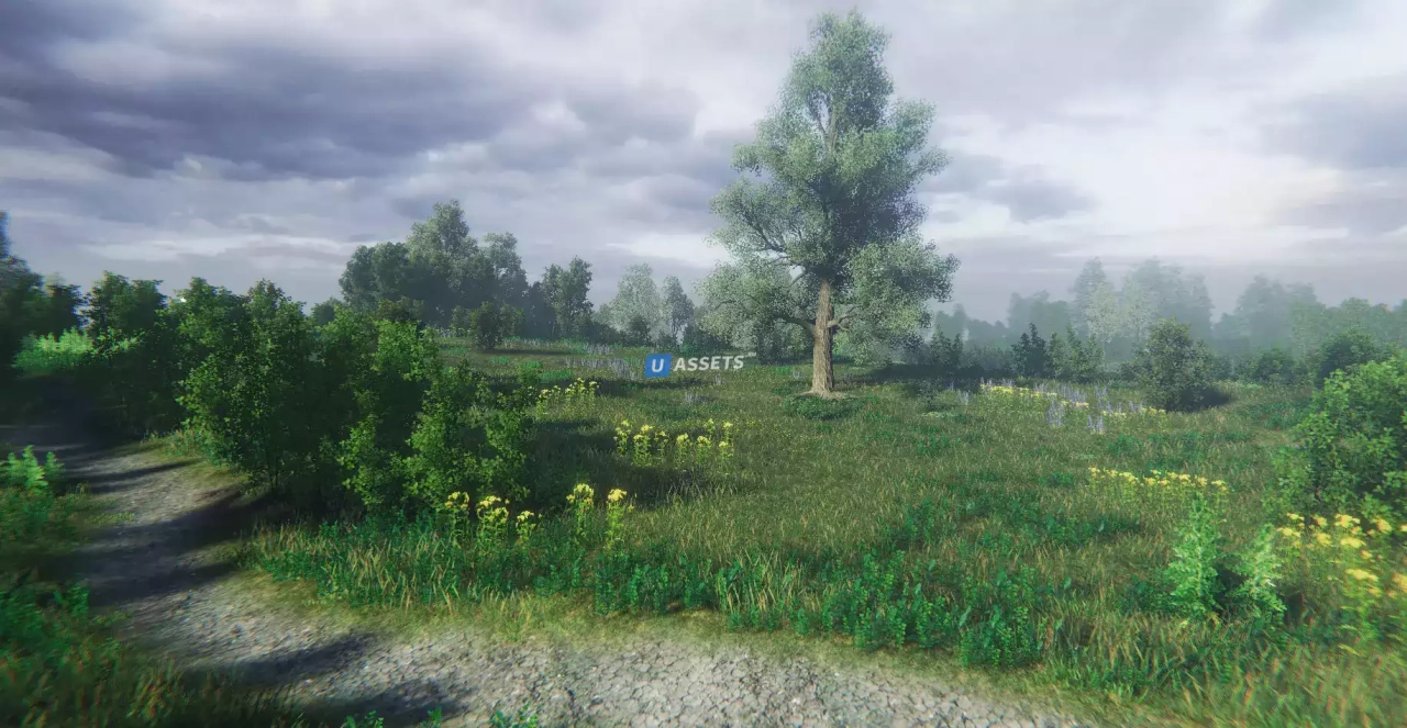 Screenshot #2 - Nature Package - Swamp Forest Environment