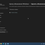 Screenshot #6 - Windows 11 Русская 24H2 26100.1742 5in1 by SmokieBlahBlah 2024.10.05