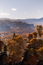 Screenshot #12 - Prologue: Go Wayback!