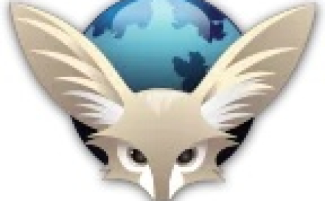 FIREFOX ГОСТ 20.0