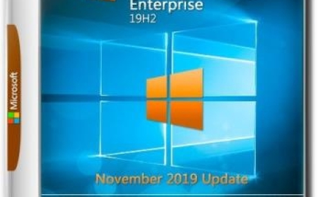 Windows 10 Enterprise v1909.449 x64 by molchel